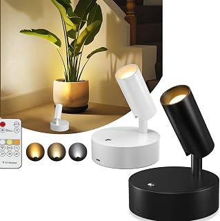 Wireless Led Spotlight Indoor 2Pack with Remote Dimmable