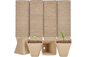 Eco-Friendly Peat Pots for Seedlings: Nurture Your Plants