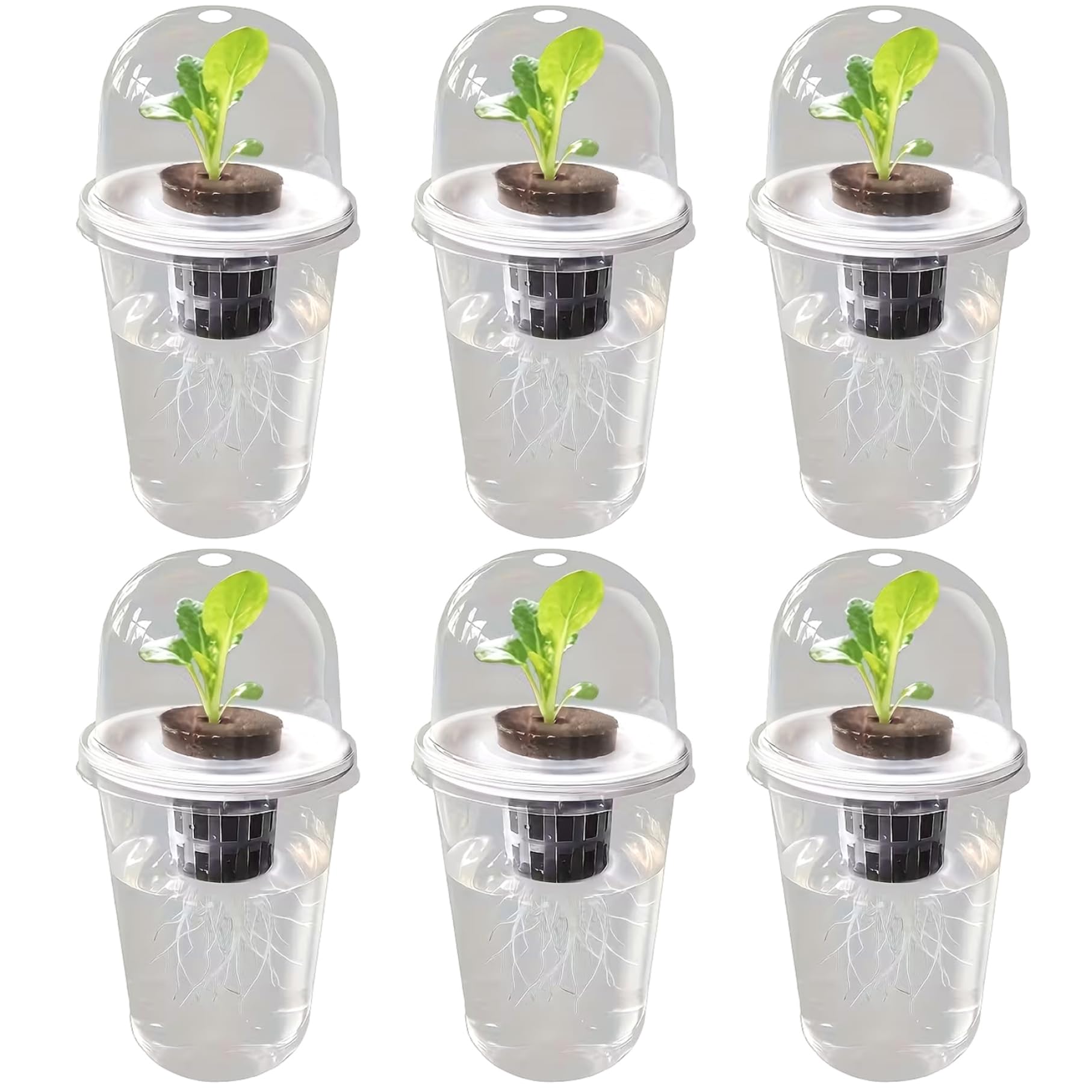 Pots hydroponiques 6 pièces transparents auto-arrosants pour semis de salon