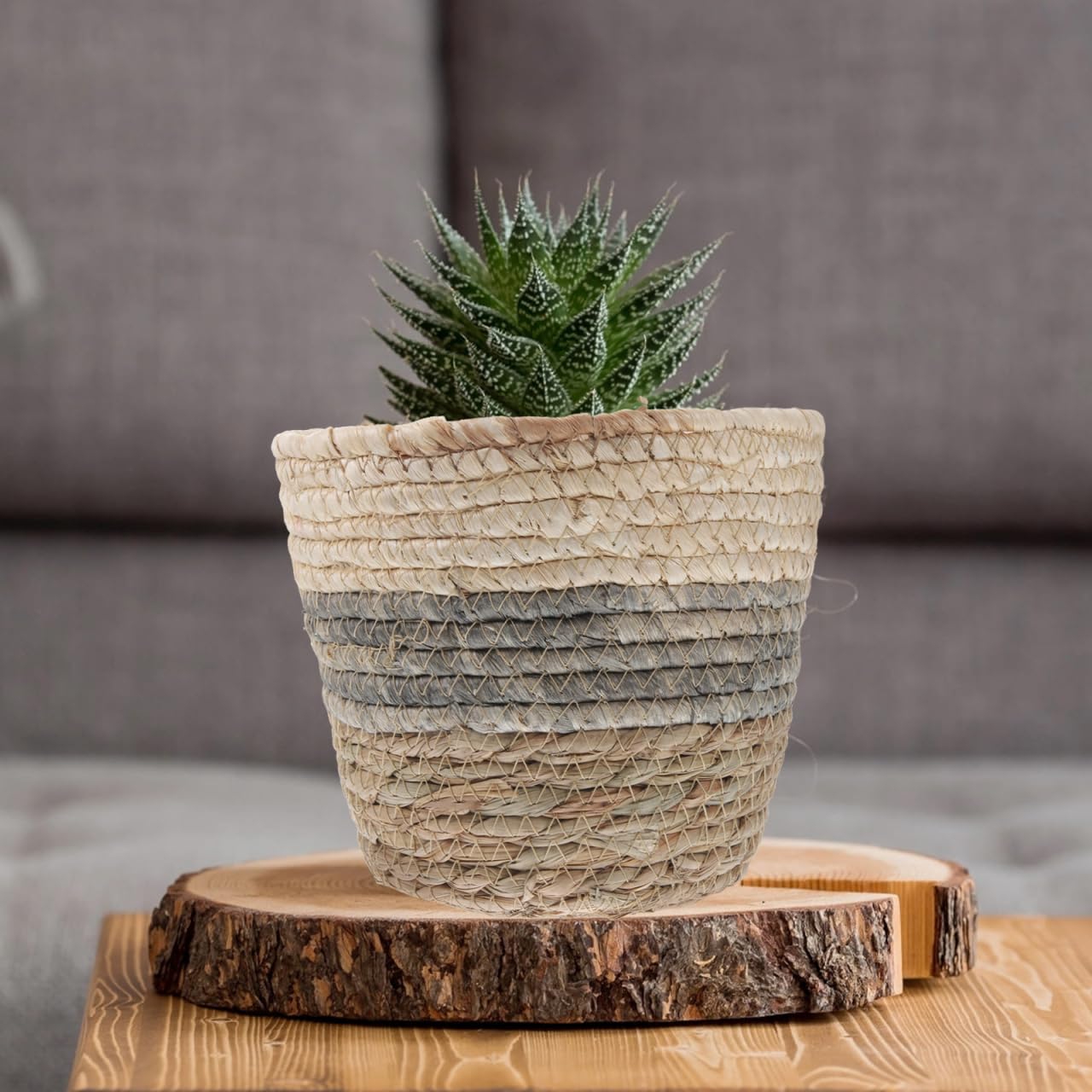 Healeved 2 x Blumenkorb, 25,4 cm, Rattan-Aufbewahrungskorb, große Blumenarrangement-Behälter, Stroh, Blumentopf, Sukkulenten, Pflanzkörbe für den Schreibtisch, rund, Braut-Topf, Abdeckung, Gras