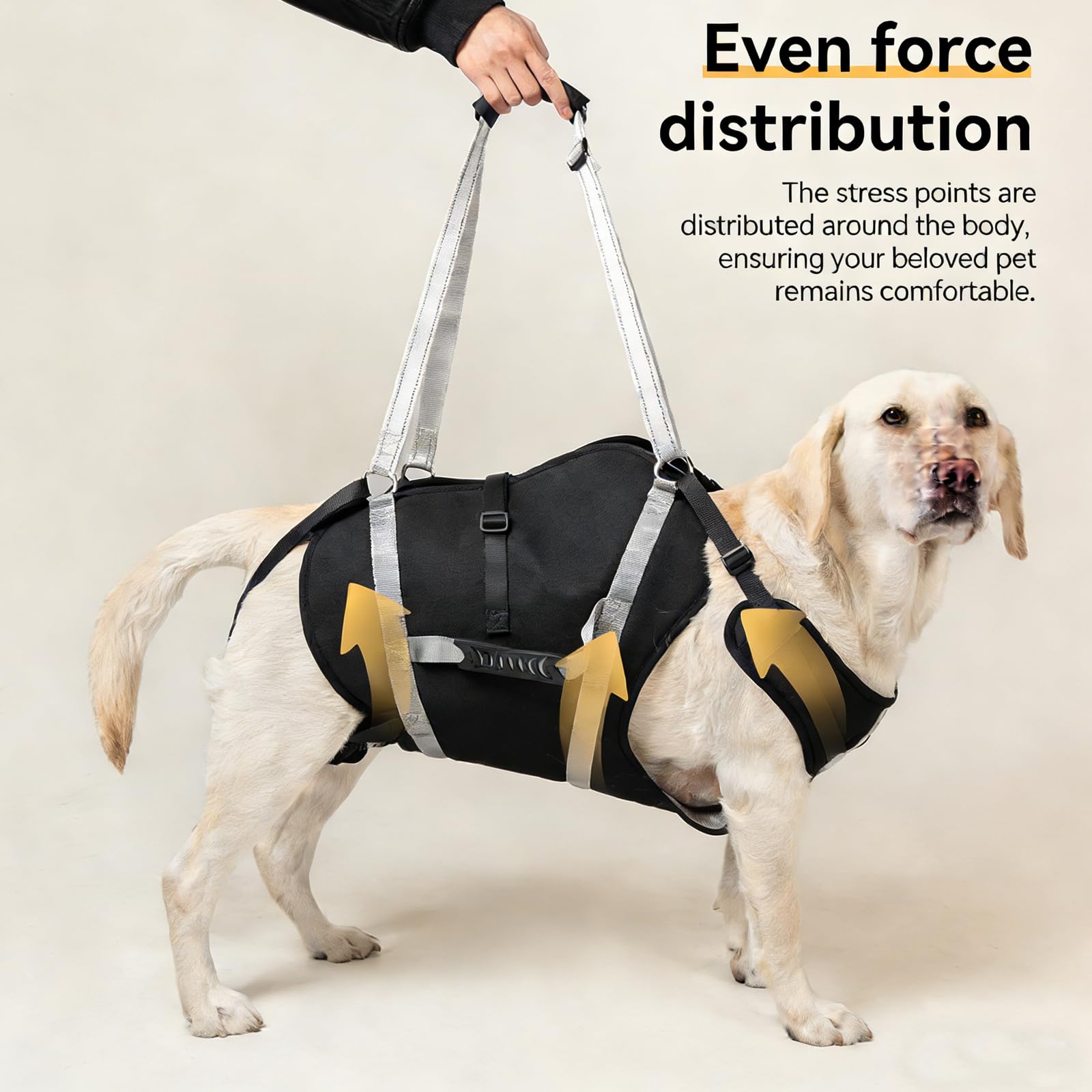 Harnais de Levage pour Chien de 20 à 40 kg, Harnais de rééducation avec poignées, Soutien Pattes Avant/arrière pour Chiens âgés, blessés et Post-opératoires