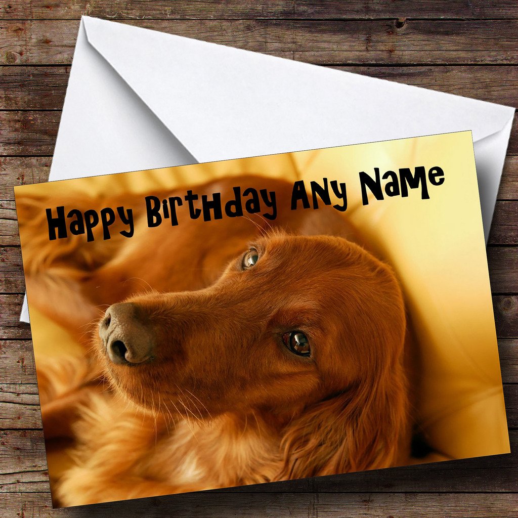 Irish Setter Dog Personalised Birthday Card Desertcart INDIA