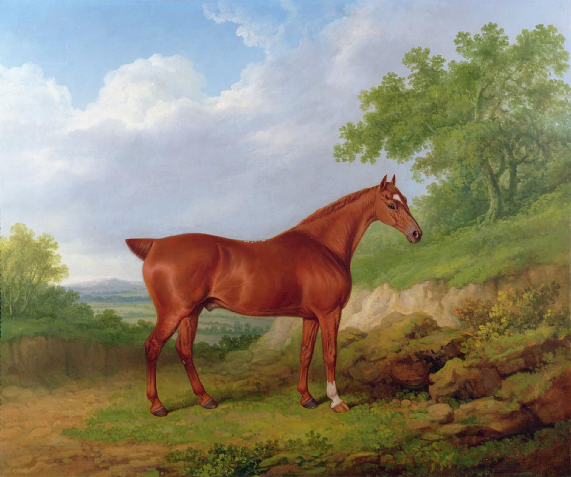 ARTXLXXBN Famous Painting Canvas Artwork Graffiti Print Chestnut Hunter in a Landscape by Famous Artist Portrait Canvas Image for Home Decor 60x90cm