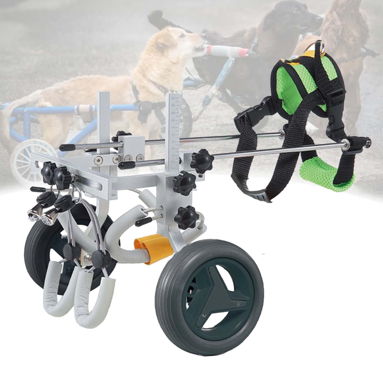 Fauteuil roulant pour chiens pour redonner la joie de courir à votre compagnon