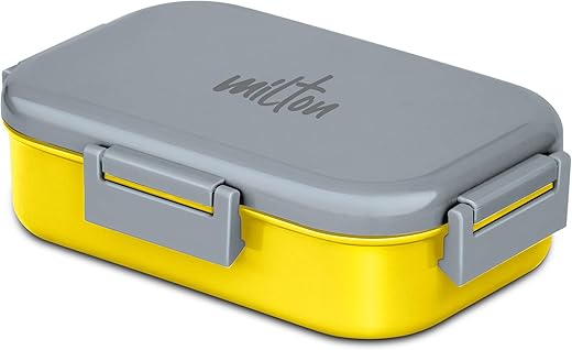 MILTON Senior Flatmate Tiffin Box Steel Kids Lunch Box, Inner Stainless Steel Insulated Containers with Clip Lock Lid, 700