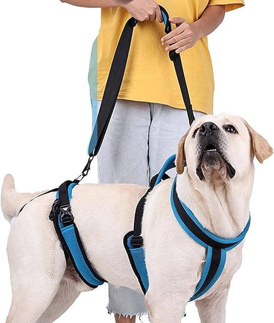 Foto 4 de 8 de Arnés de elevación para Perros Soporte Assist Band con manijccesorios Auxiliar parnimales Mayores Patas…