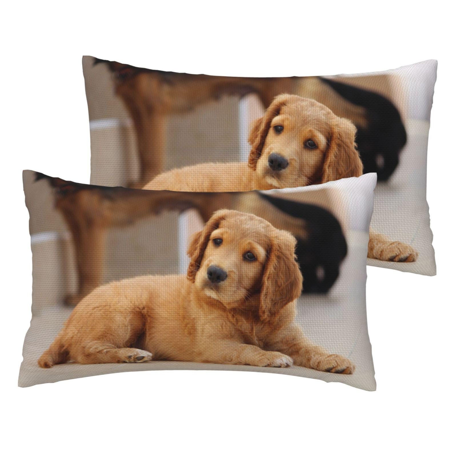 Egomed As Picture Cocker Spaniel Puppy Small Spaniel Dogs Pets,Throw Pillow Cover Decorative Polyester Pillowcase Soft Cushion Covers 30X50 Cm