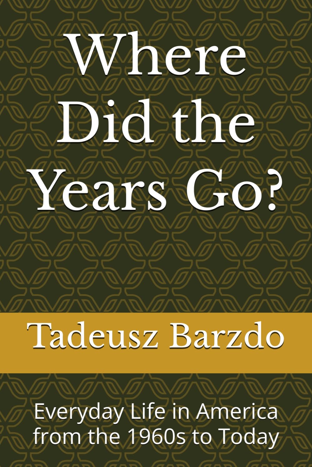 Where Did the Years Go?: Everyday Life in America from the 1960s to Today