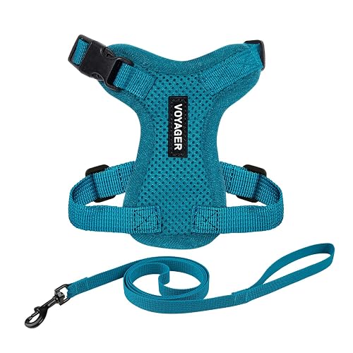 Voyager Step-in Lock - Arnés Ajustable para Gato con Correa para Gatos con Mango de Neopreno de 5 pies…