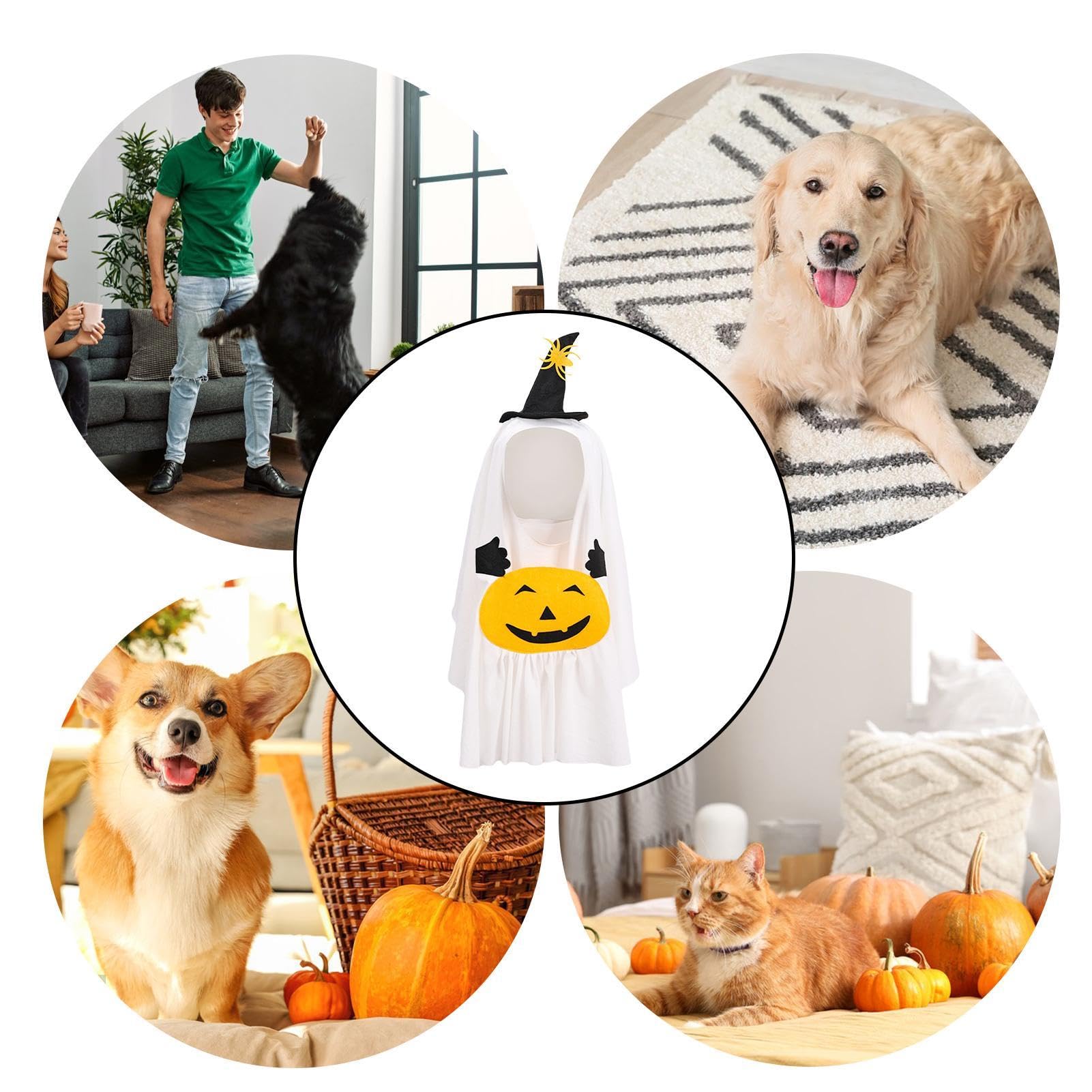 Chapeau Sorcière Halloween Pour Animaux De Compagnie Accessoire De