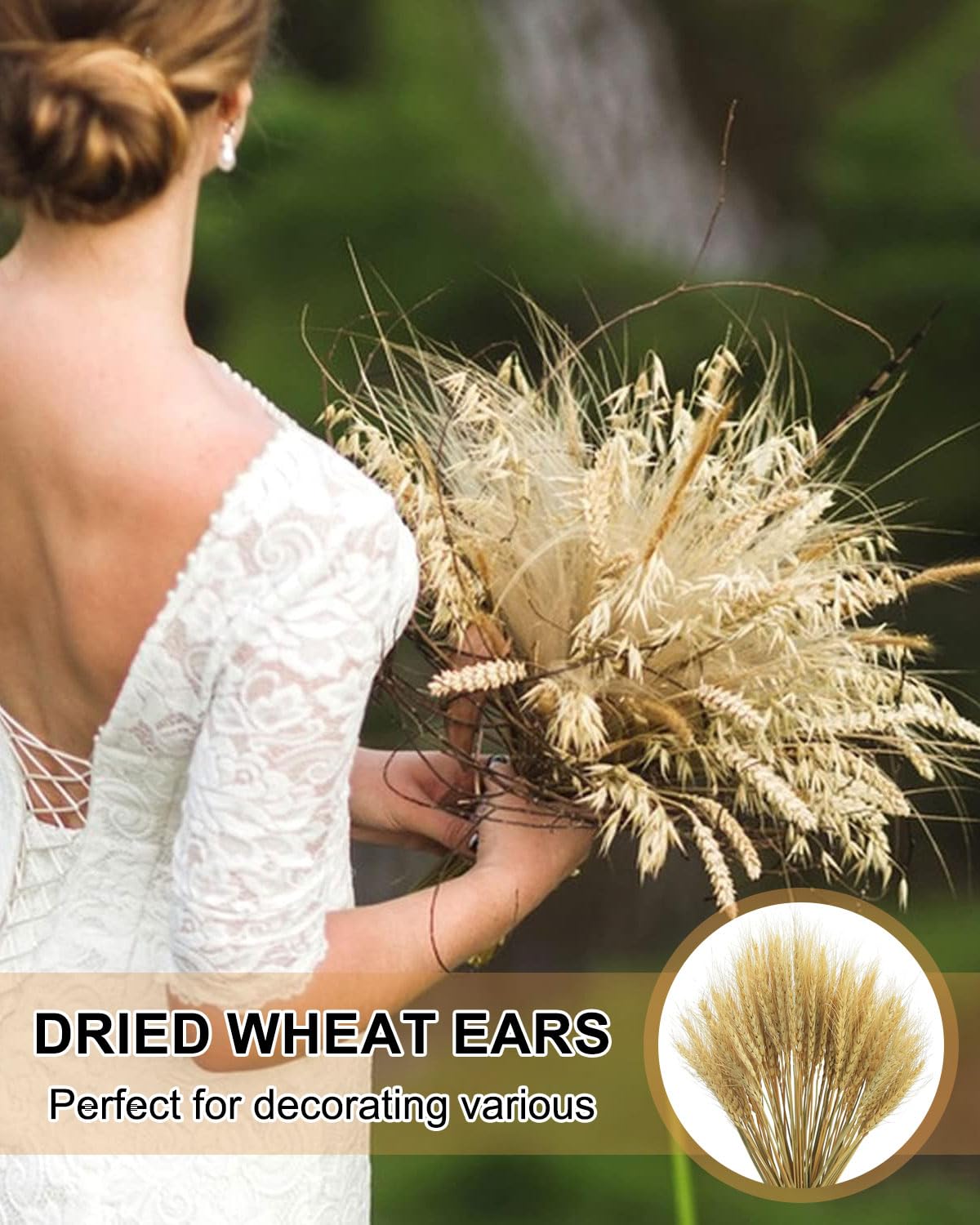 50 pezzi Decorazioni naturali di erba di grano, erba di grano nativa, fiori di erba di grano essiccati, bouquet da sposa, decorazioni per la casa con fiori bohémien