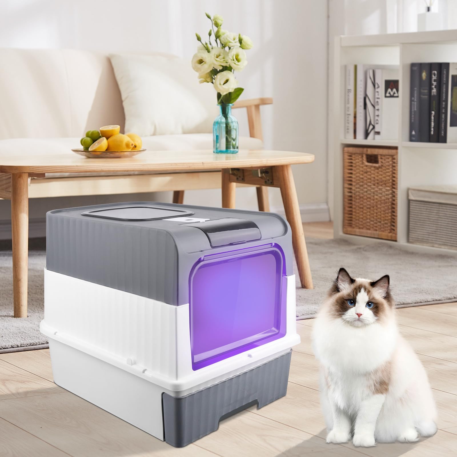 Lettiera per gatti con sterilizzazione UV per Gatti con Coperchio Forato Nessun Odore e Fuoriuscita di Rifiuti, Entrata Superiore Lettiera Chiusa Paletta Inclusa per Gatto,48 * 35 * 36 cm-grigio