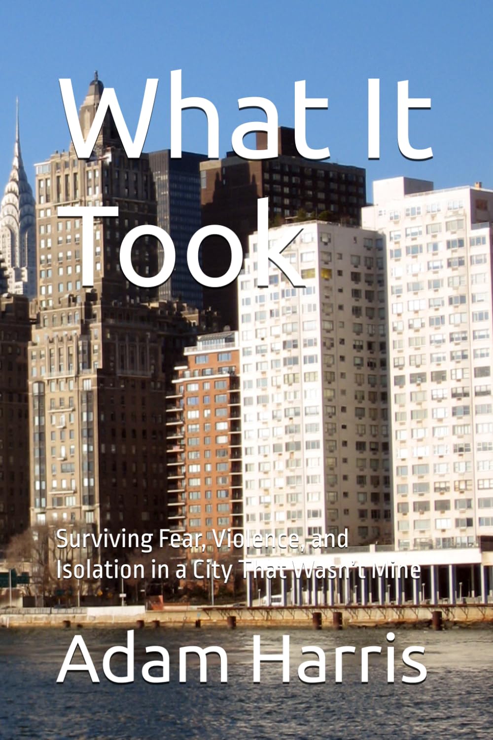 What It Took: Surviving Fear, Violence, and Isolation in a City That Wasn’t Mine