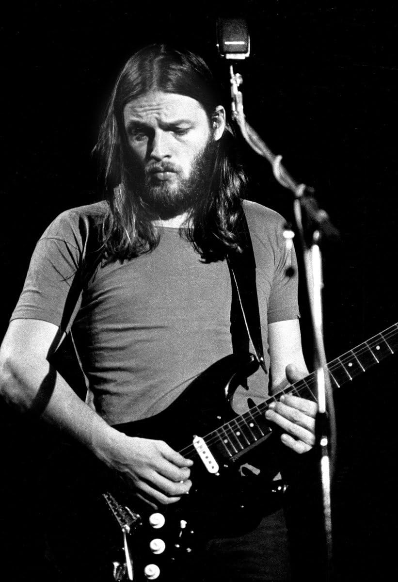 YuanKanJu David Gilmour Poster 13x19 Quality Print