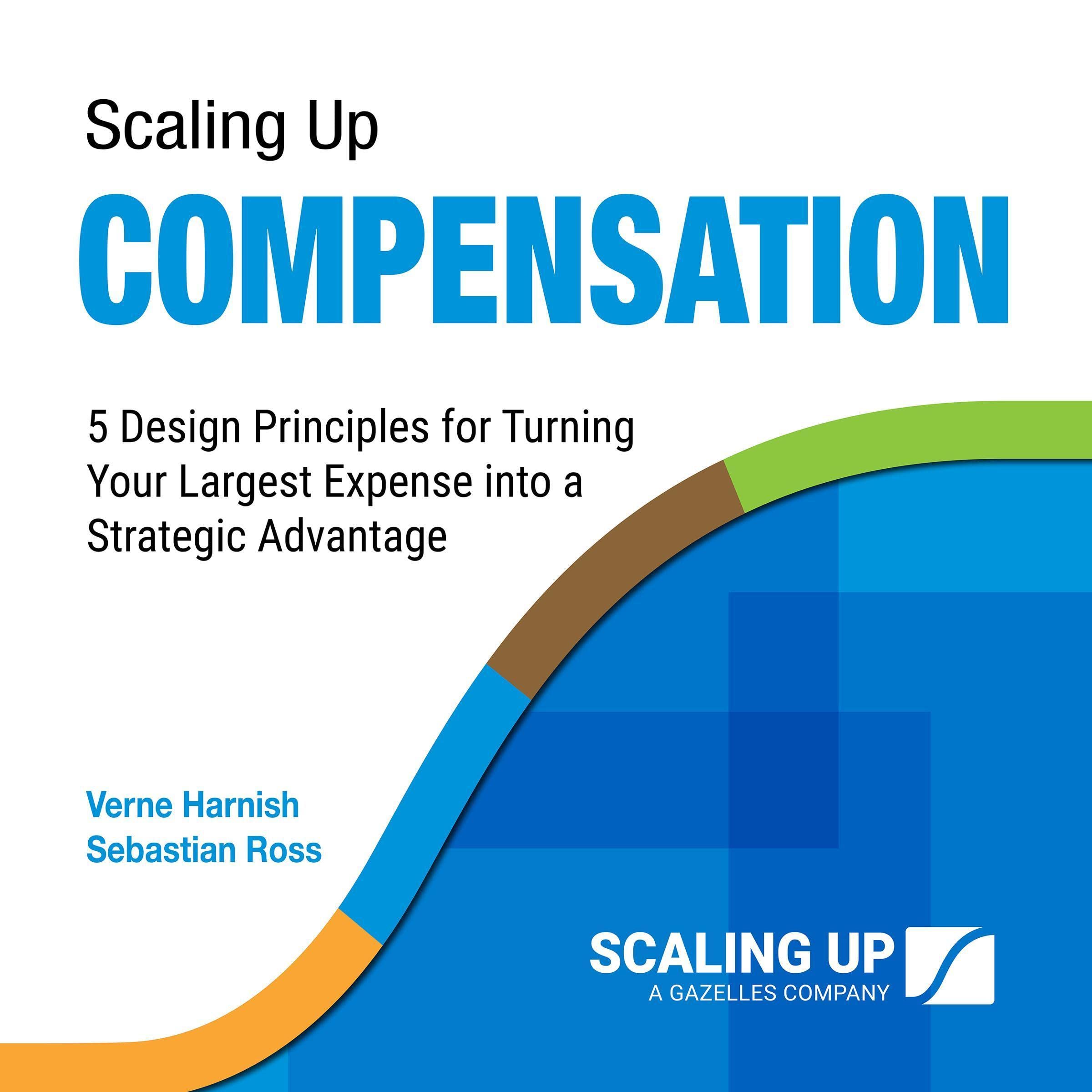 Cover art for Scaling Up Compensation