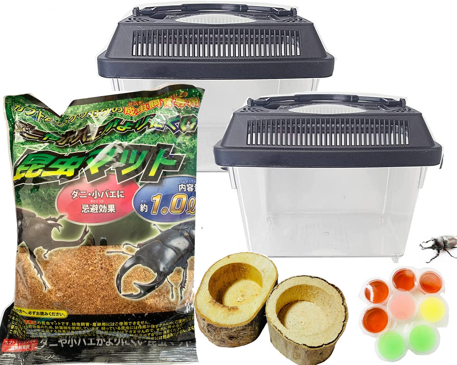 Amazon | クワガタムシ カブトムシ オオクワガタ 専用 昆虫飼育セット