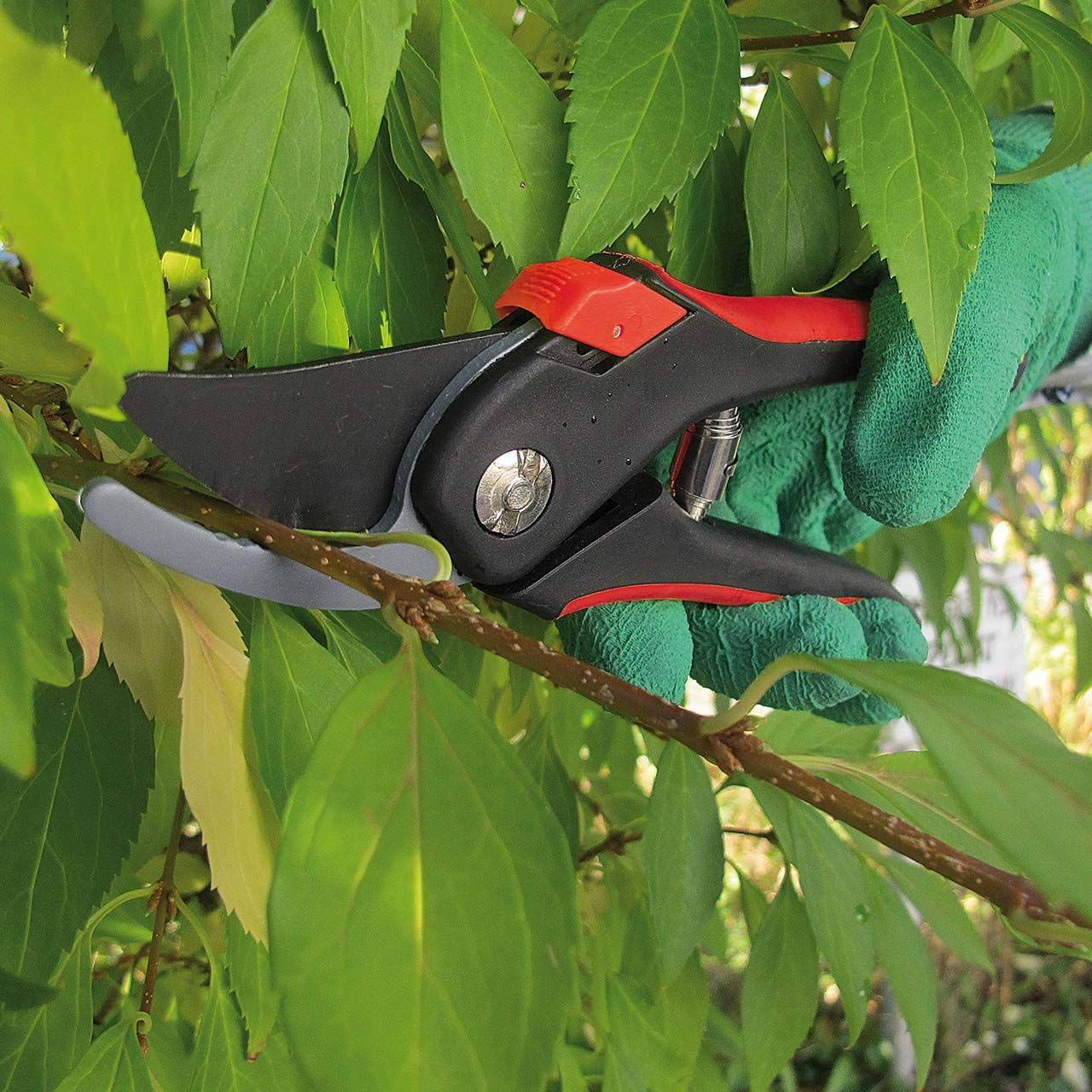 WALTER Gartenscheren-Set 3-teilig, Rosenschere, Heckenschere, Laubschere, Karbon-Stahl, ergonomischer Griff für Arbeiten im Garten