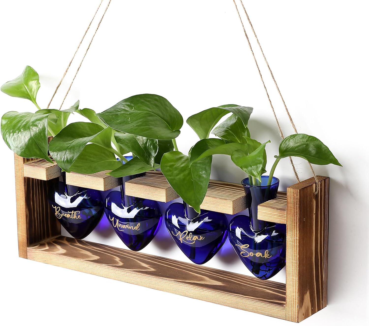 Plants Propagation Stations Plant Terrarium Kit for Bathroom Glass Planters for Indoor Plants Bathroom Decor Accessories - Relax Soak Unwind Breathe