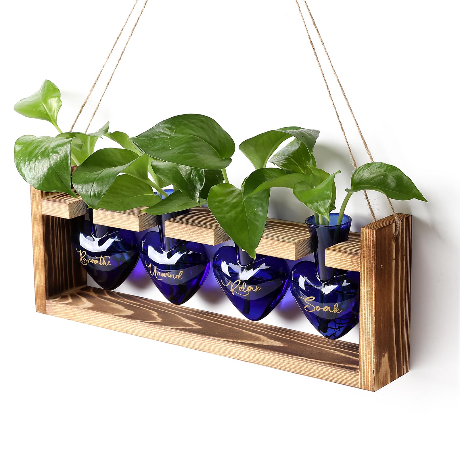 Plants Propagation Stations Plant Terrarium Kit for Bathroom Glass Planters for Indoor Plants Bathroom Decor Accessories - Relax Soak Unwind Breathe