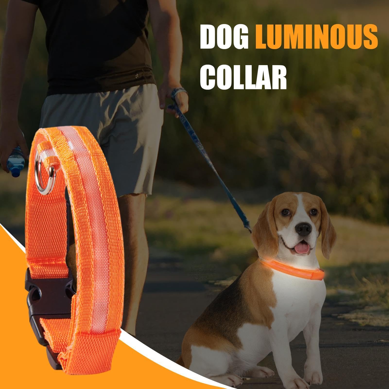 LED | Collare luminoso lampeggiante per cani, collari regolabili che | brillano al buio per cuccioli, cani di taglia media e piccola.