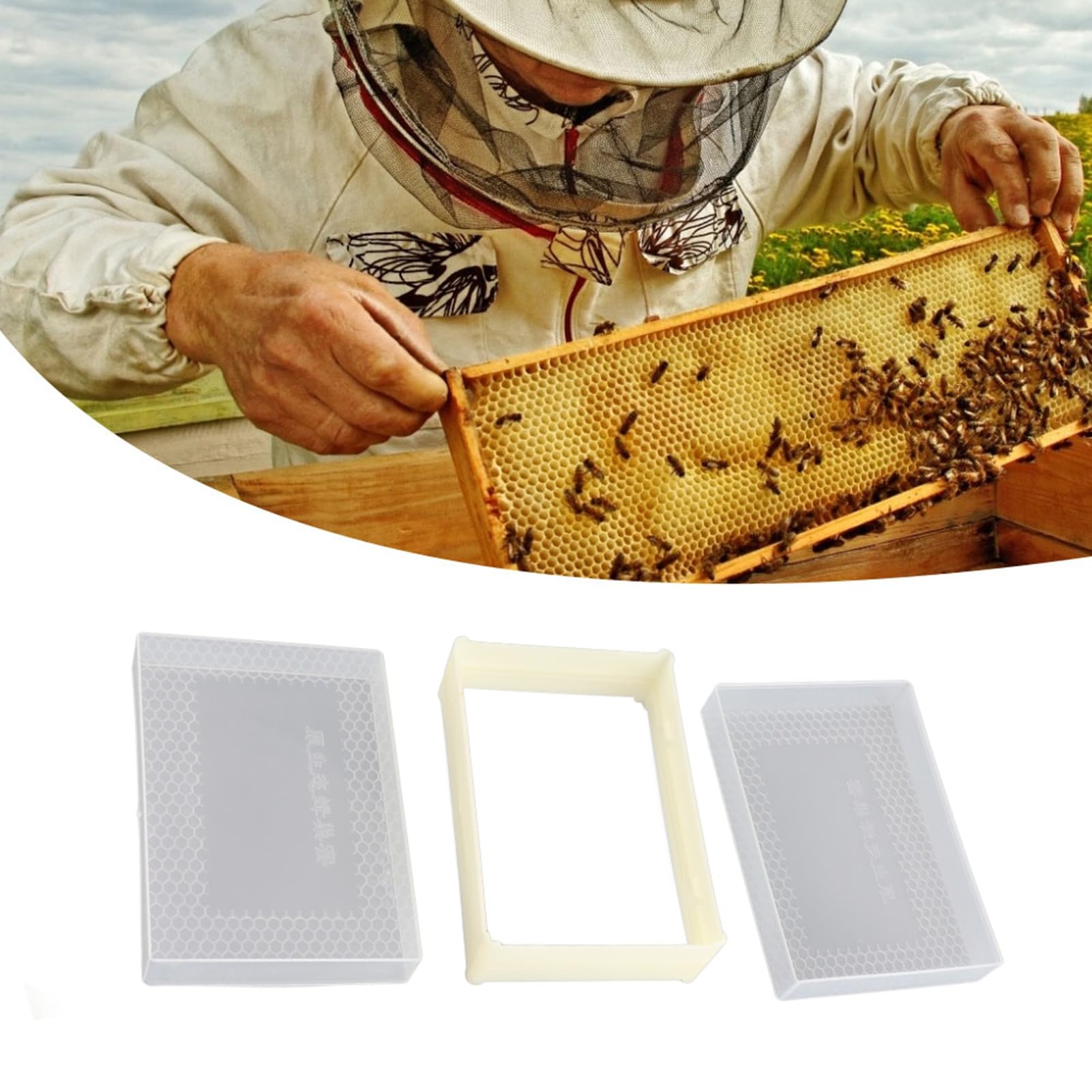 KIMISS Forniture per Apicoltura Scatola per Alveare per Pettine in Plastica per Apicoltura Scatola per Alveare Kit Telaio Attrezzatura per Apicoltore Kit per