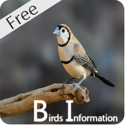 New Best Birds Guide.