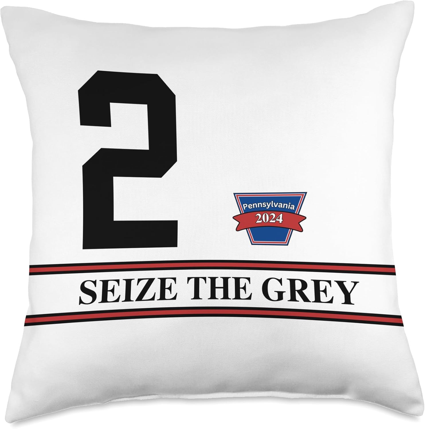 Seize the Grey 2024 Throw Pillow