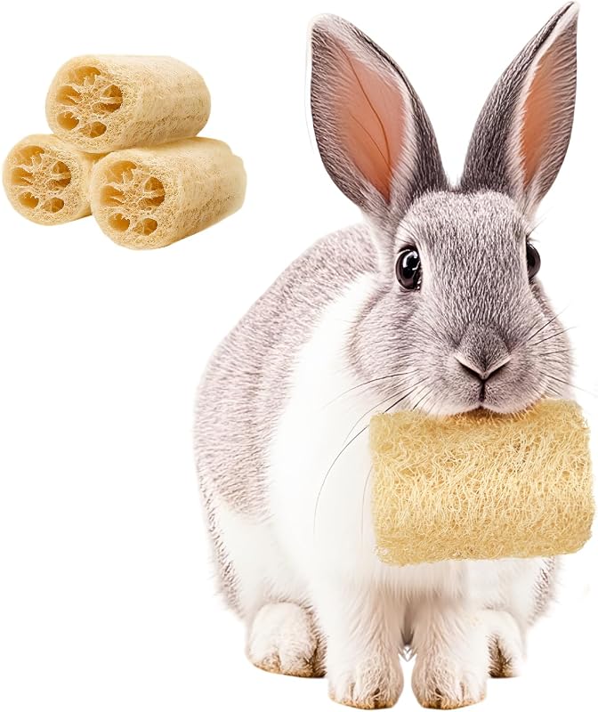 Brinquedo Mastigável de Bucha Vegetal para Coelhos BESNEW, Pacote com 3
