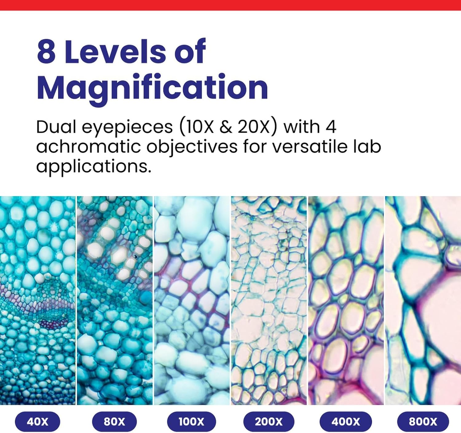 OMAX 40X-2000X LED Binocular Compound Lab Microscope w/ Double Layer Mechanical Stage + Blank Slides, Cover Slips, & Lens Cleaning Paper, M82ES-SC100-LP100