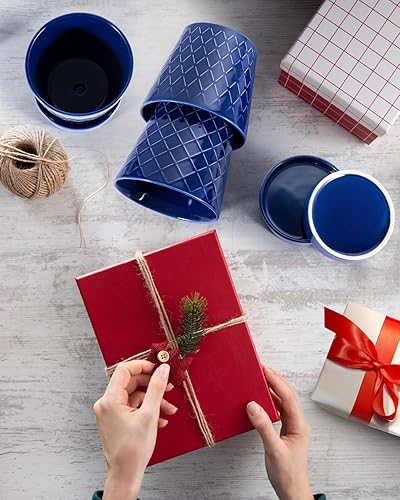 Miniatura 6 de EFISPSS Macetas de cerámica, macetas de 5 pulgadas para plantas de interior, macetas con agujeros de drenaje y bandeja de cerámica, regalo para