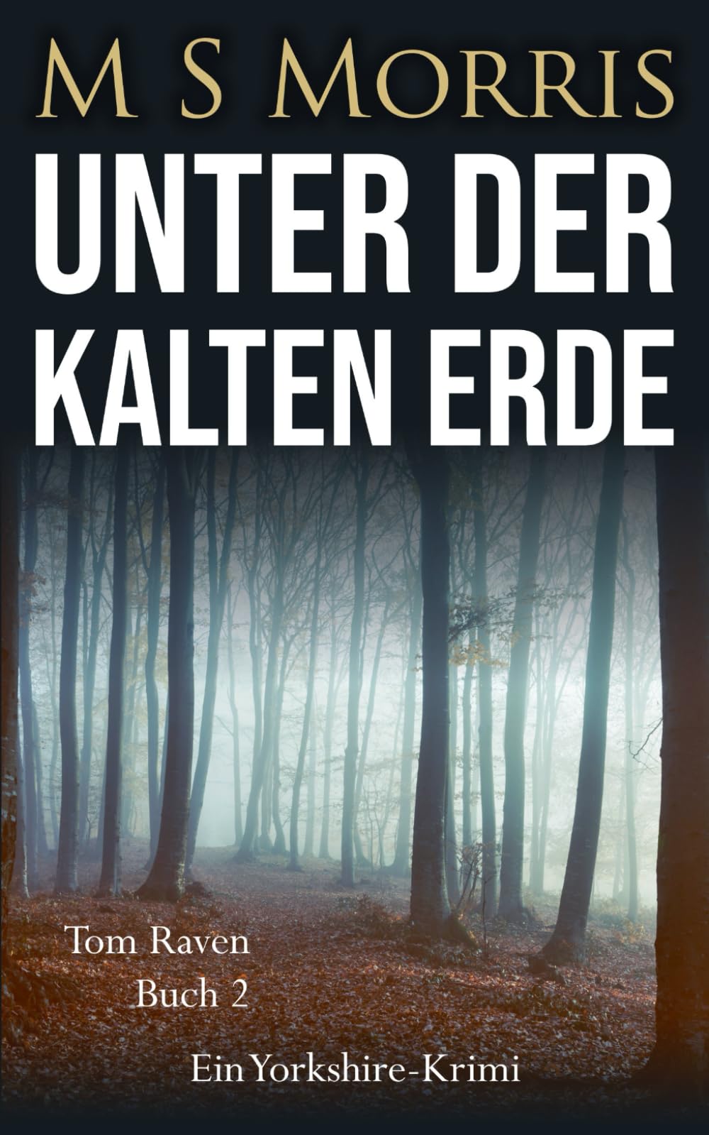 Unter der kalten Erde: Ein Yorkshire-Krimi: 2 (Die Tom-Raven-Reihe)