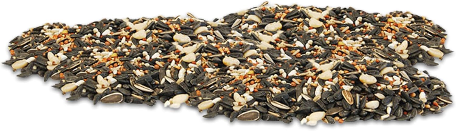 Wild Bird Seed Mix, Deluxe Blend with Fruit, 25 lbs. – Premium Wild Bird Food with Sunflower Seeds, Milo, Wheat, Cranberries & Cherries – Nutritious Birdseed for Outside Feeders, Trays & Tubes