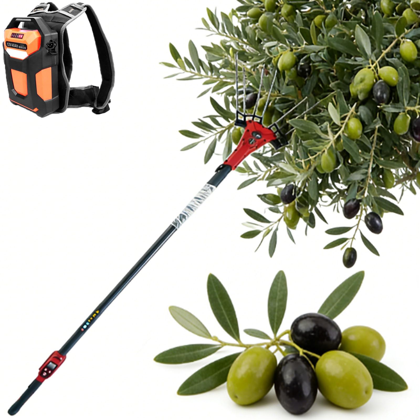 Cosechadora Eléctrica De Aceitunas con Pértiga Telescópica De 1,74 A 3 Metros, Herramienta Eléctrica Portátil para Recoger Fruta, Sacudidor De Árboles Inalámbrico. 600W