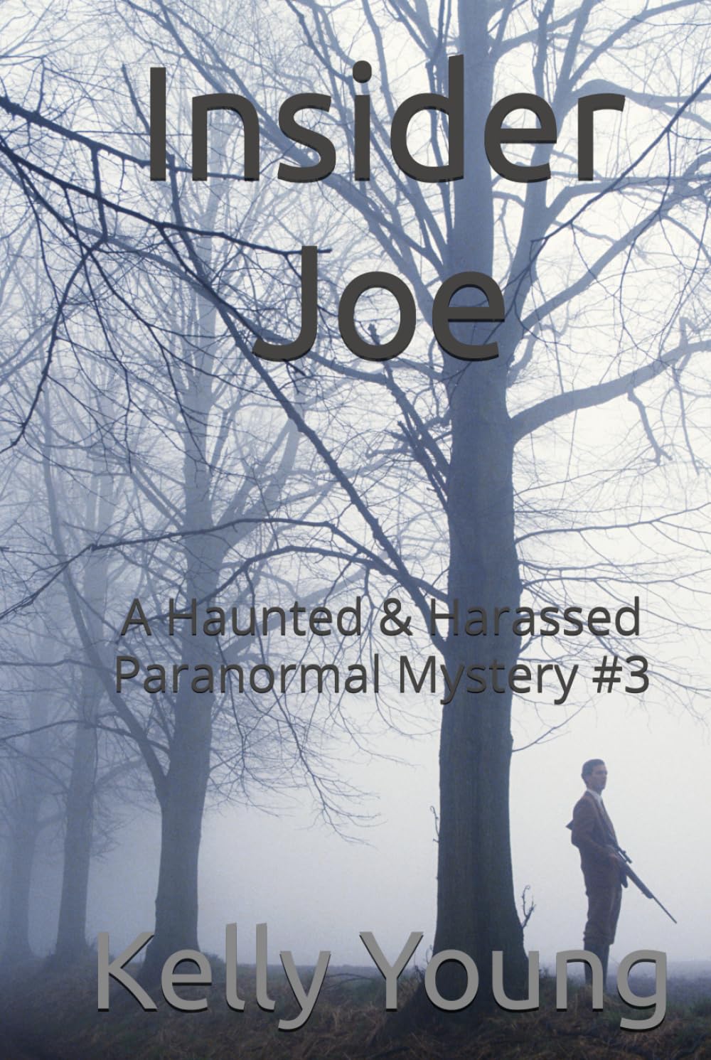 Insider Joe: A Haunted & Harassed Paranormal Mystery #3