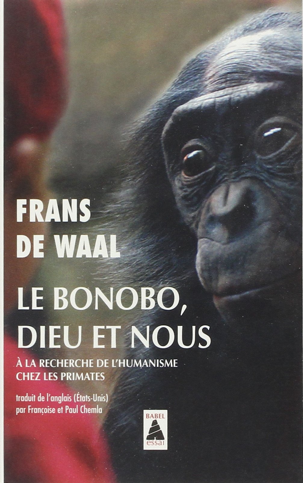 Le bonobo Dieu et nous