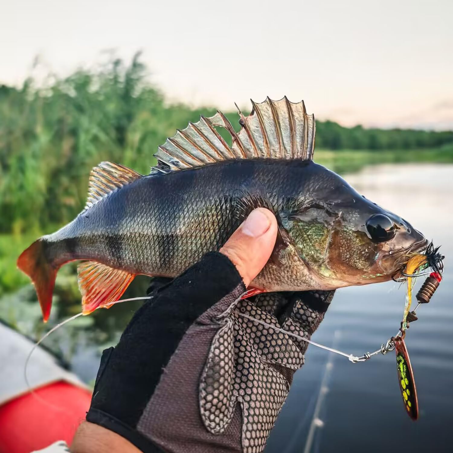 Raprance Confezione da 6 terminali conici pre-annodati per pesca a mosca, 2,5 m, 2,7 m, in nylon trasparente, 3 x 4 x 5 x 6 x