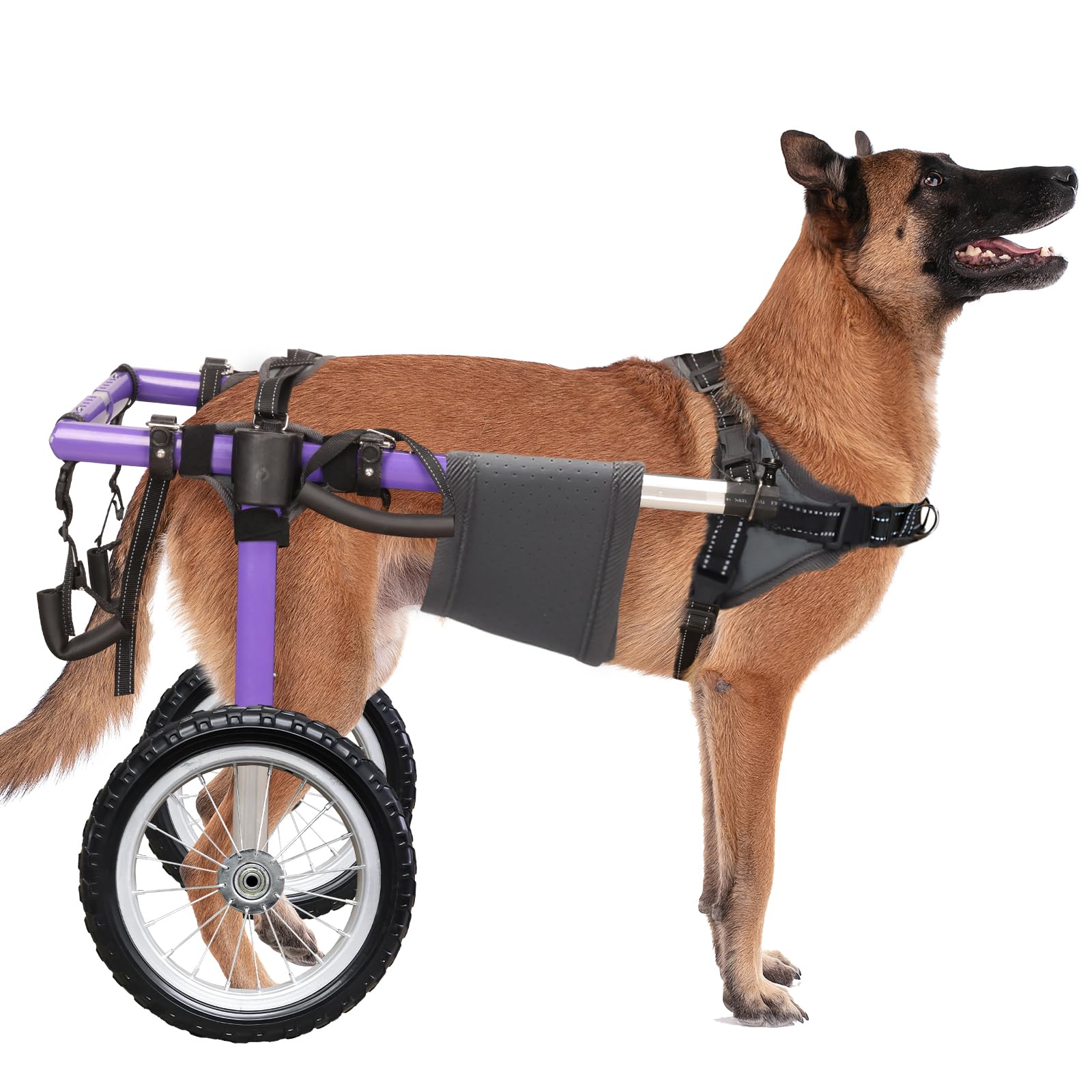 Fauteuil roulant pour grand chien XL en aluminium avec pneus tout-terrain