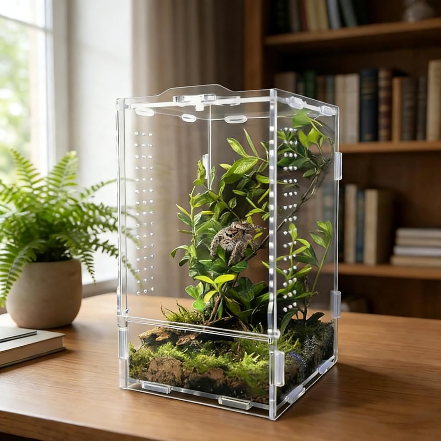 Acrylic Jumping Spider Enclosure: Tarantula Enclosure with Door Lock for Gecko Praying Mantis Snail - Front Opening Arboreal Reptile Terrarium Dual-Side Ventilation Bug Habitat for Desk Decor