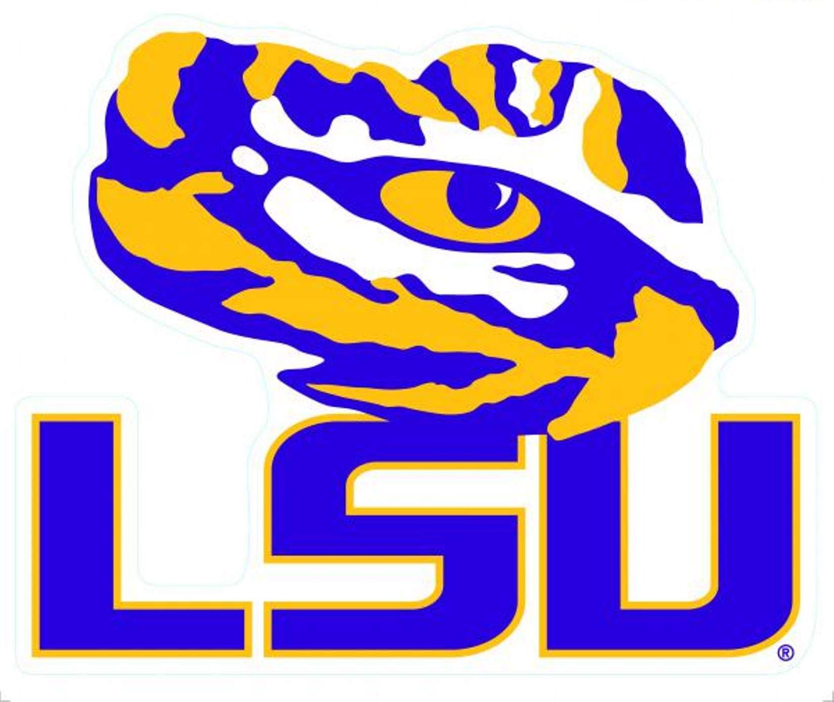 Amazon.com : WinCraft Louisiana State University S04897 All