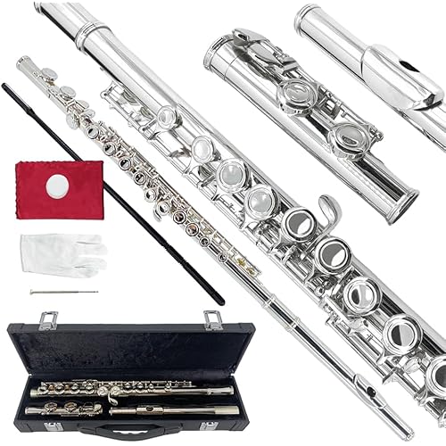 16 Key Flute,Beginner C Flutes Instrument Nickel-Plated Closed Hole Easy to Play with Carrying Case,Cleaning Kit,Gloves and Tuning Rod (Silver)