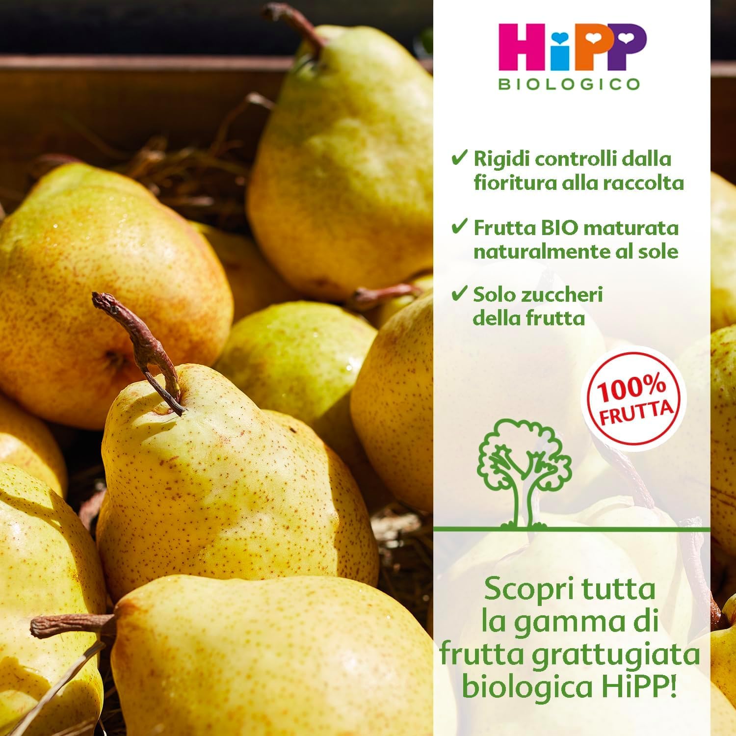 HiPP - Nuovi Mini Dessert, Frutta Grattugiata Bio, Gusto Mela e Pesca,Confezione da 24 Vasetti da 100 g