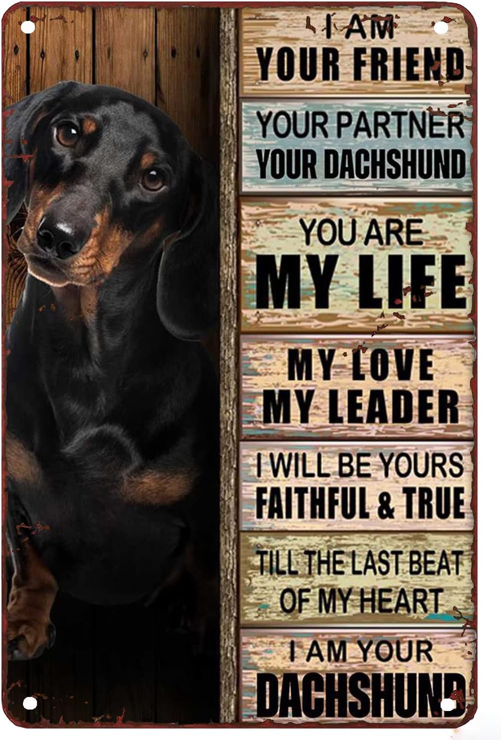 Anceky I am Your Friend Your Partner Your Dachshund You Are My Life Tin Sign Vintage Metal Wall Decor Dachshund Dog Chic Art Wall Metal Decorations Funny Iron Plaque Signs For Living Room 12x16 Inch