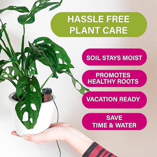 Miniatura 8 de Blumat Estacas Clásicas de Autoriego - Sistema Automático de Riego por Goteo para Riego de Plantas de Interior y Exterior - Solución de Goteo