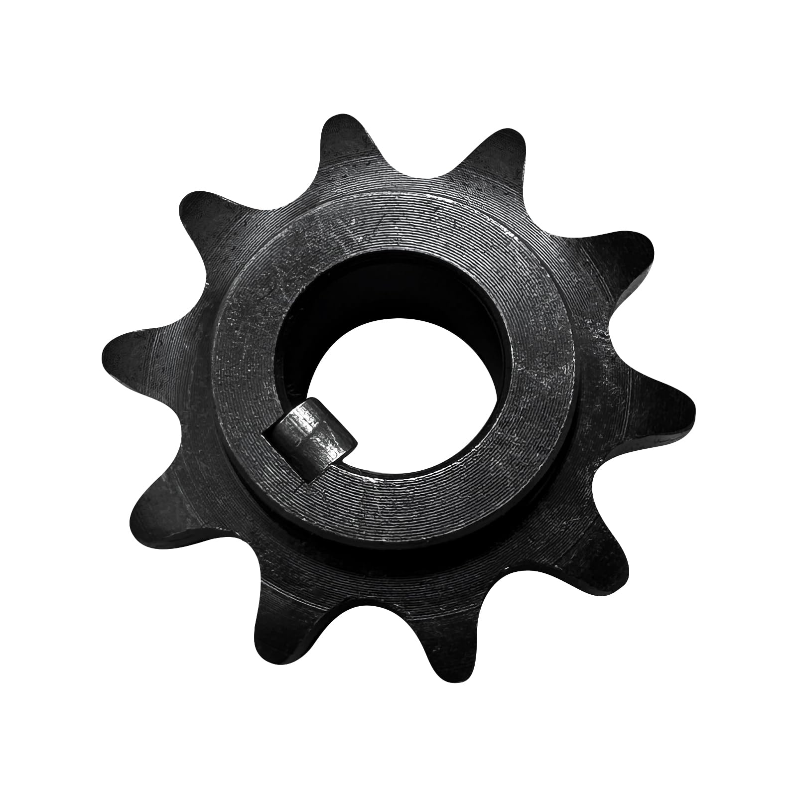 Coleman - ロッシーニン Amazon.com: 40 41 420 Chain Sprocket 10 Tooth 5/8