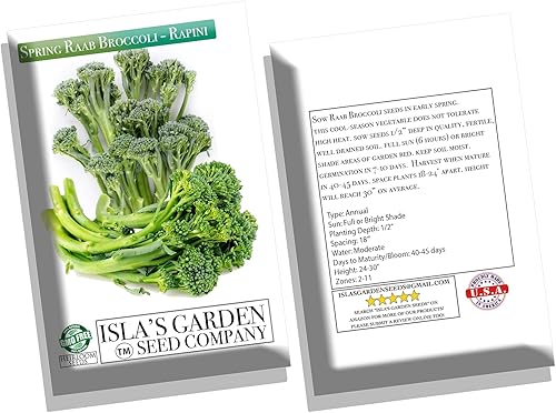 Miniatura 5 de Semillas de brócoli Raab Rapini de primavera, 300 semillas por paquete, semillas sin OMG, nombre botánico: Brassica oleracea, Isla's Garden Seeds