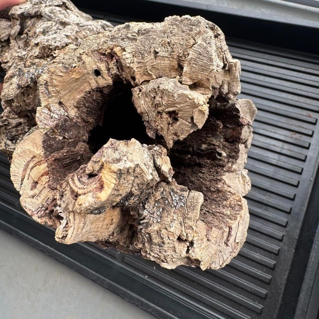 ③【筒コルク】コルク樹皮 テラリウム 着生板 植物 テラリウム ①【筒