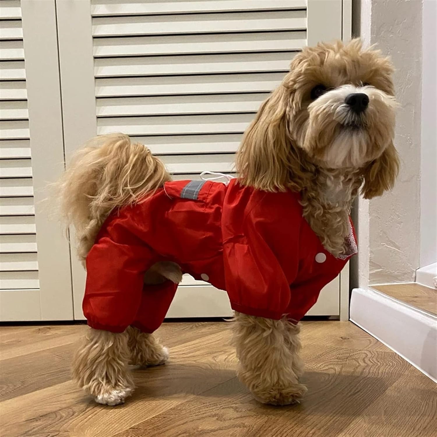 Dog Raincoats Puppy Dog Raincoat Hooded Slicker Poncho with Reflective Windproof Jacket for Small Dogs Outdoor Pet Dog Supplies (Color : Yellow, Size : XX-Large)