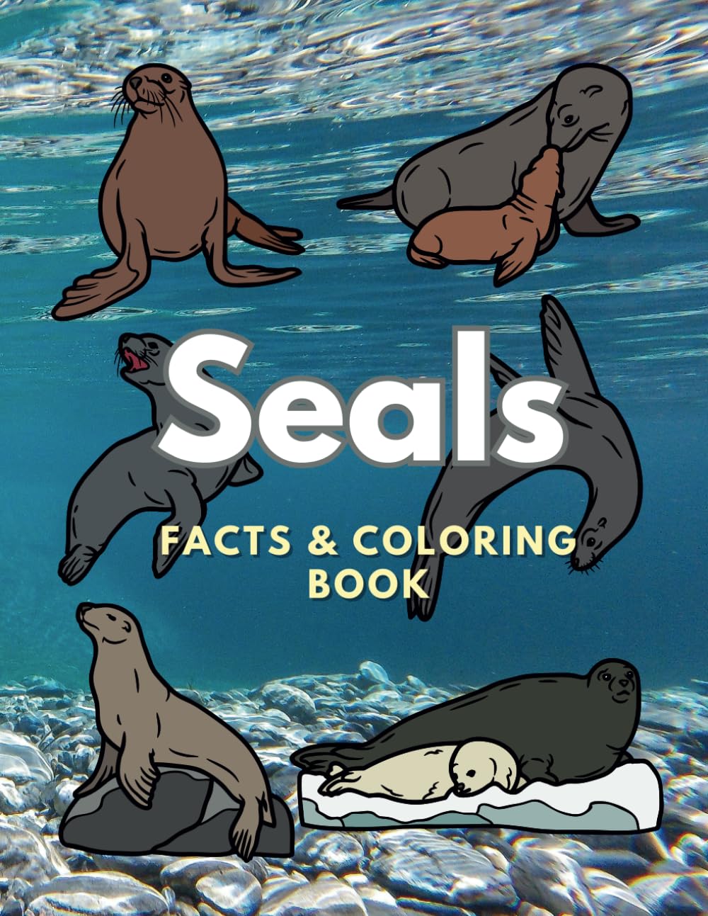 Seals: Facts & Coloring Book: Colouring Activity Book for Children Aged 2 to 16 Years (Animal Facts and Coloring)      Paperback – November 7, 2024