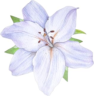 Gift Boutique White Flower Paper Place Mats Disposable Shaped 13" Summer Lilly Magnolia Floral Charger Coated Placemat for Spring Flowers Dinner