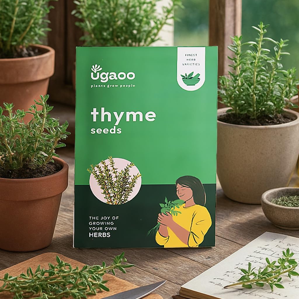 Thyme Herb Seeds (Green, Pack of 800)